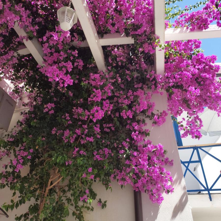 B&B Sognando Vietri E Spa Esclusiva Aversa Dış mekan fotoğraf